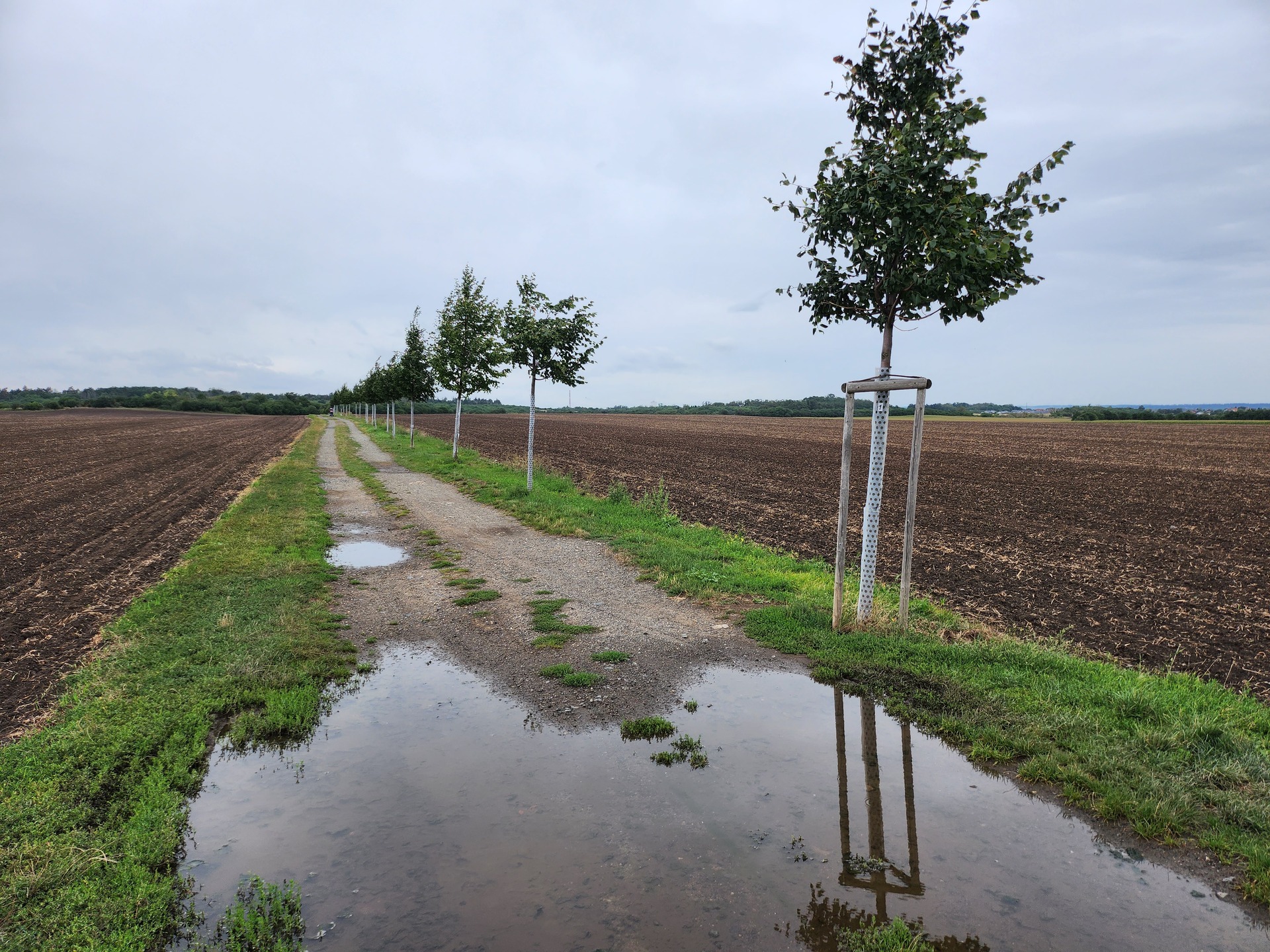 Samsung Galaxy Z Flip4