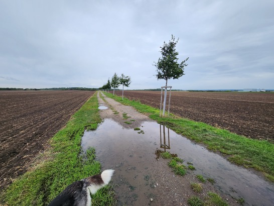 Samsung Galaxy Z Flip4