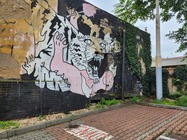 Samsung Galaxy Z Flip4