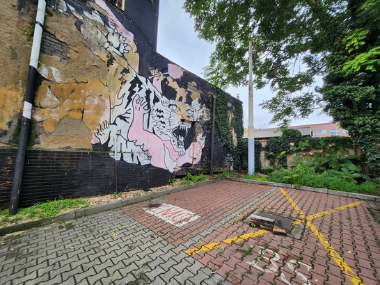 Samsung Galaxy Z Flip4