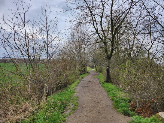 Samsung Galaxy Z Flip4