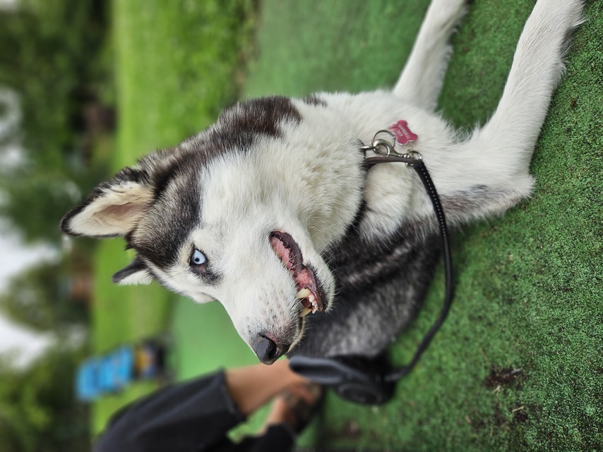 Samsung Galaxy Z Flip5