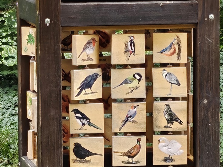 Samsung Galaxy Z Flip5