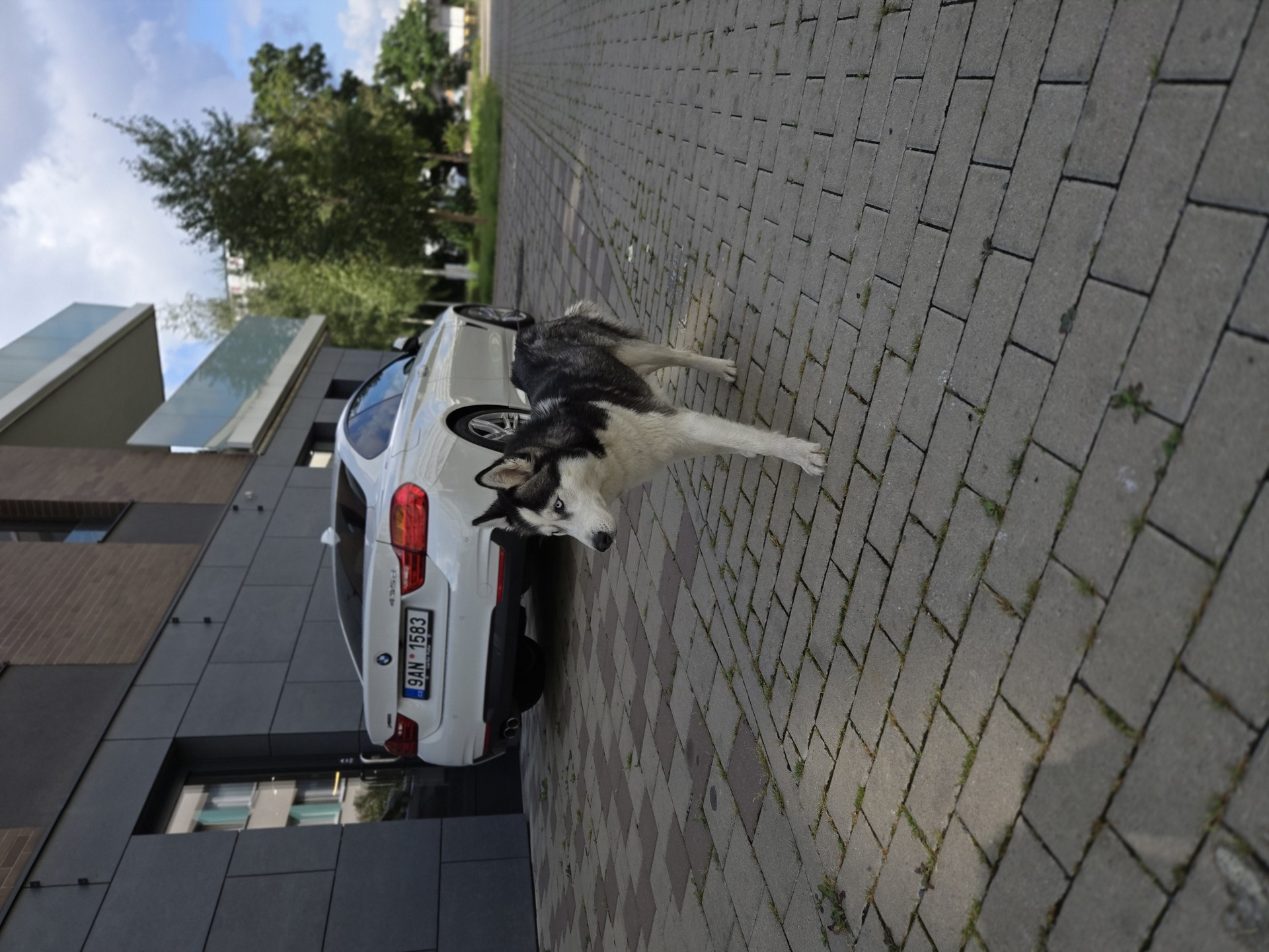 Samsung Galaxy Z Flip6