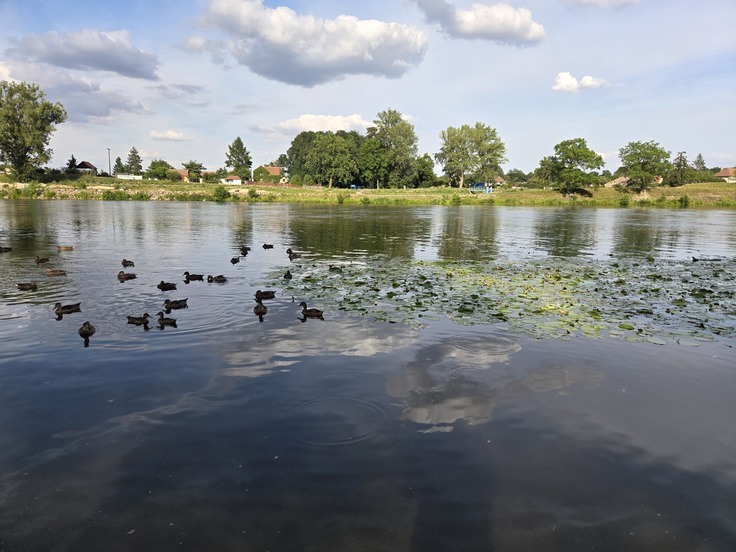 Samsung Galaxy Z Flip6