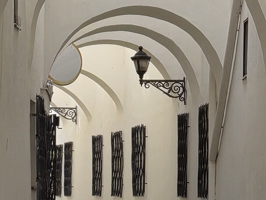 Samsung Galaxy Z Flip7