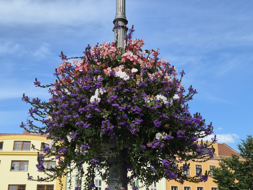 Samsung Galaxy Z Flip7