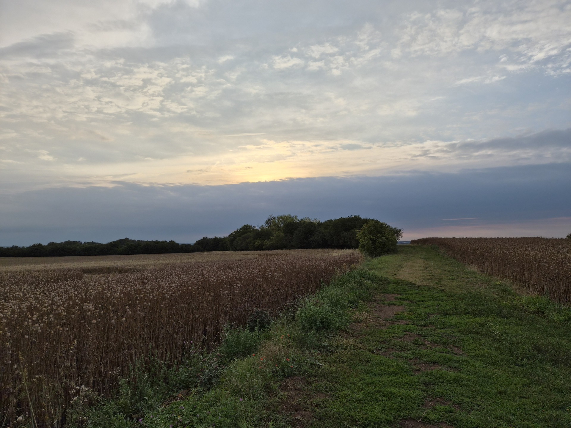 Samsung Galaxy Z Flip7