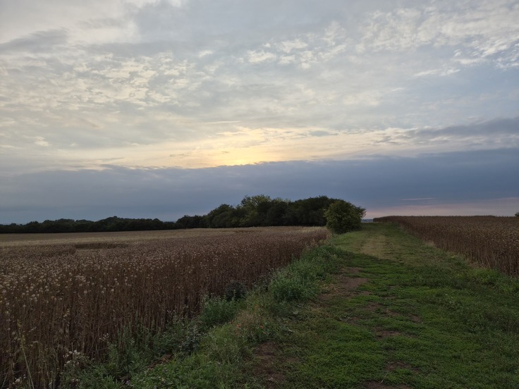 Samsung Galaxy Z Flip7