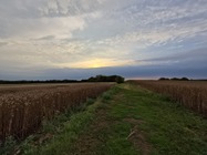 Samsung Galaxy Z Flip7