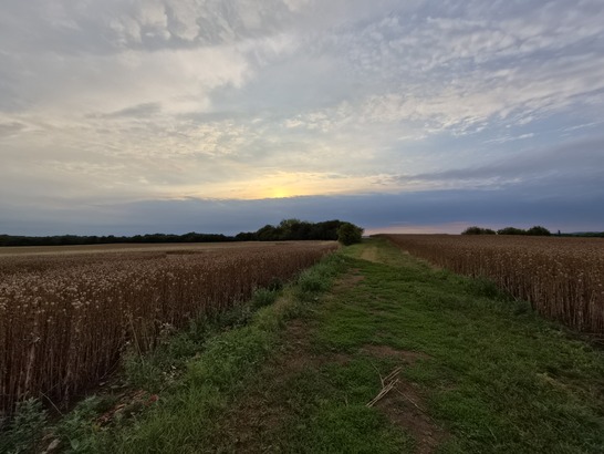 Samsung Galaxy Z Flip7