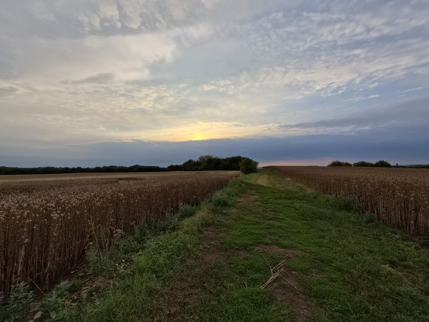 Samsung Galaxy Z Flip7