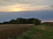 Samsung Galaxy Z Flip7