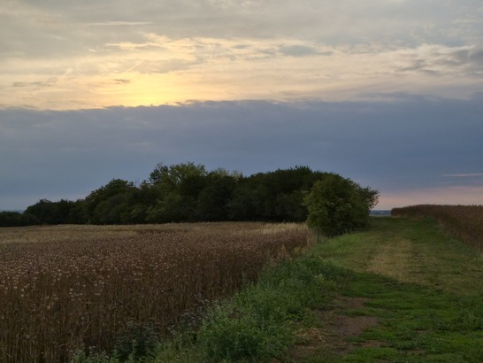 Samsung Galaxy Z Flip7