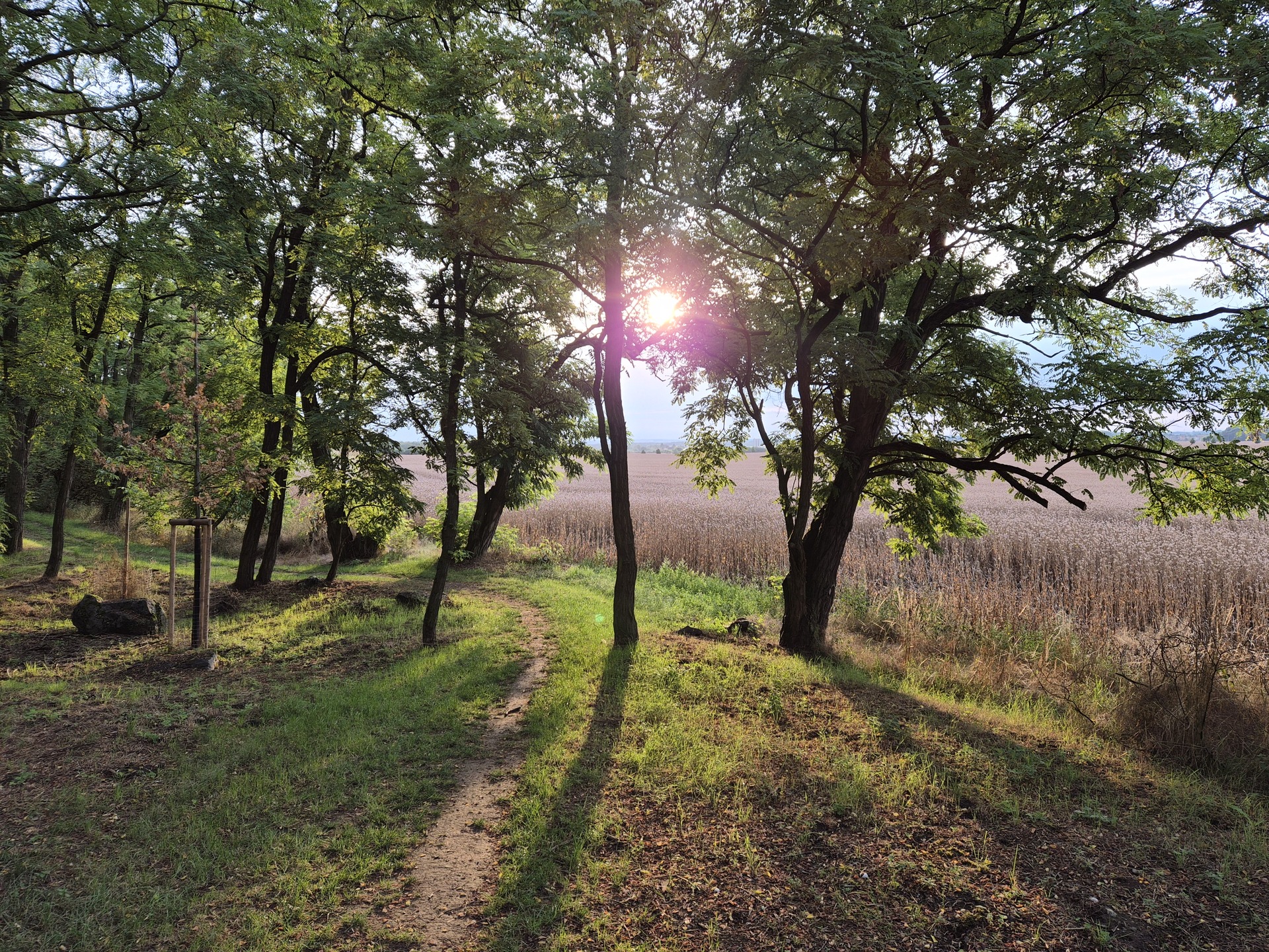 Samsung Galaxy Z Flip7