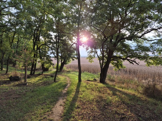 Samsung Galaxy Z Flip7