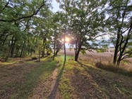 Samsung Galaxy Z Flip7