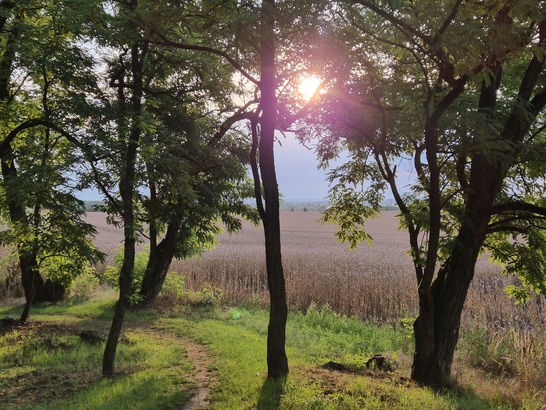 Samsung Galaxy Z Flip7