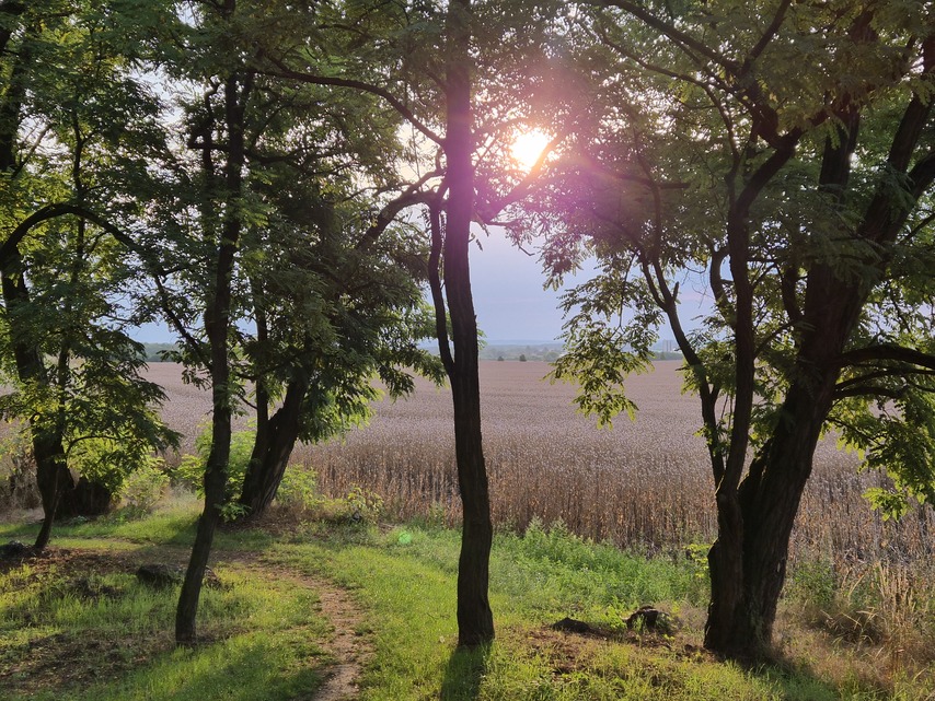 Samsung Galaxy Z Flip7