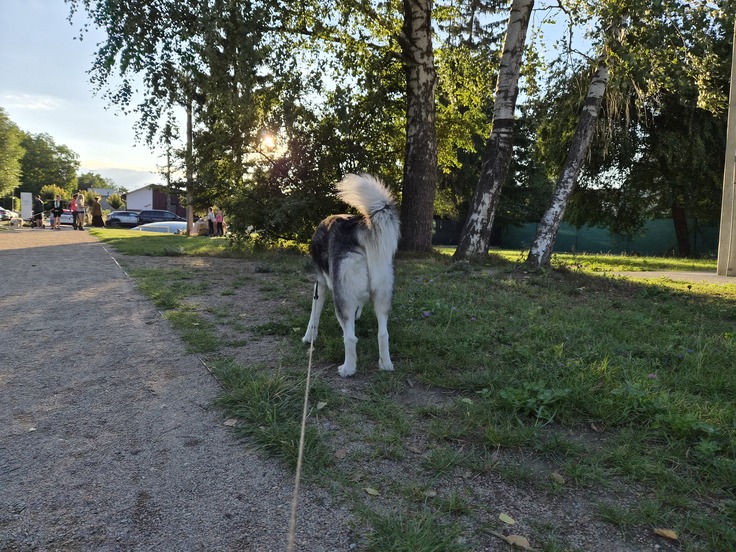 Samsung Galaxy Z Flip7