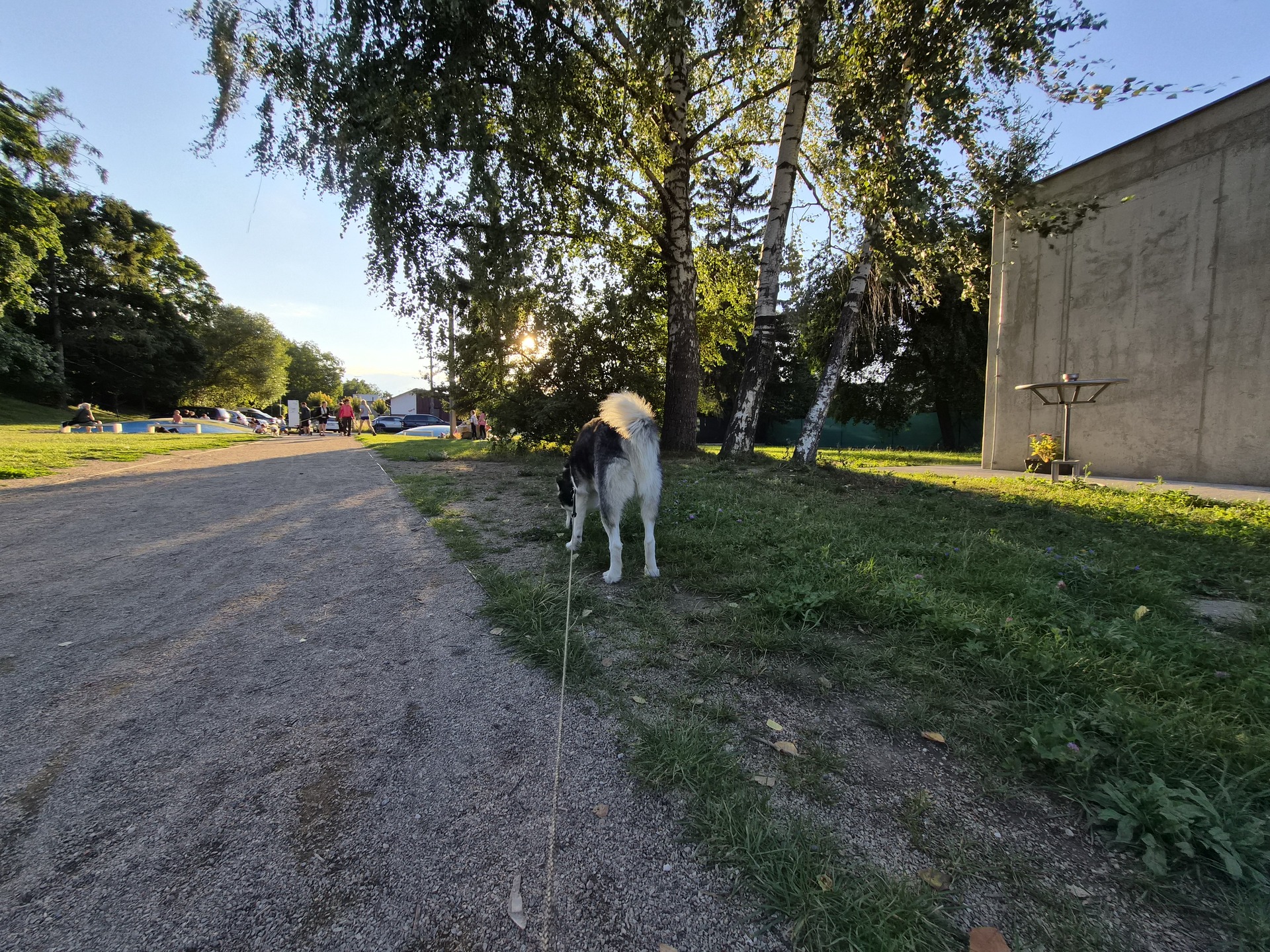 Samsung Galaxy Z Flip7