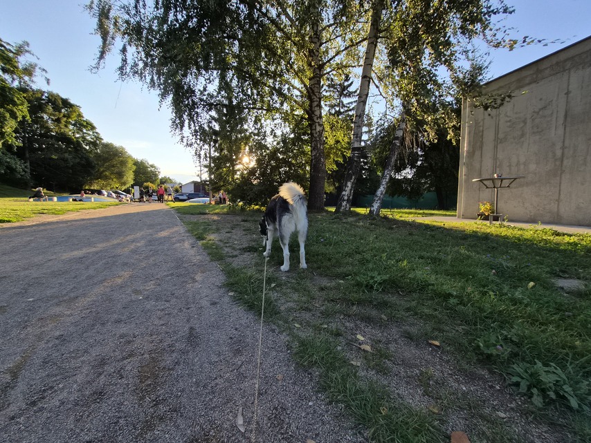 Samsung Galaxy Z Flip7