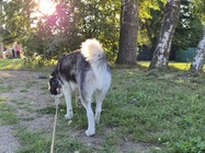 Samsung Galaxy Z Flip7