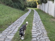 Samsung Galaxy Z Flip7