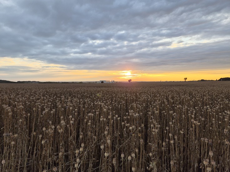 Samsung Galaxy Z Flip7