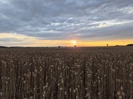 Samsung Galaxy Z Flip7