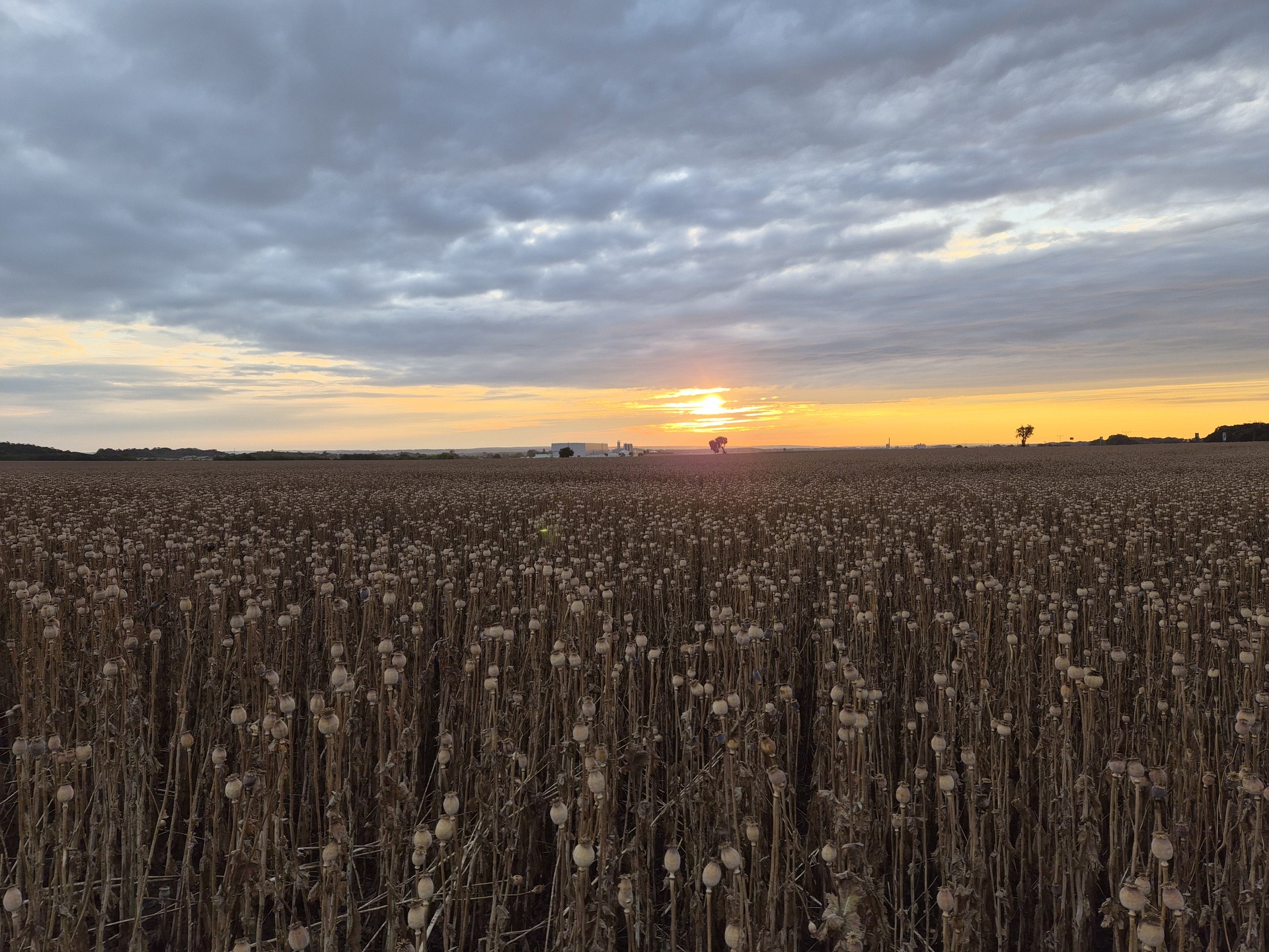 Samsung Galaxy Z Flip7