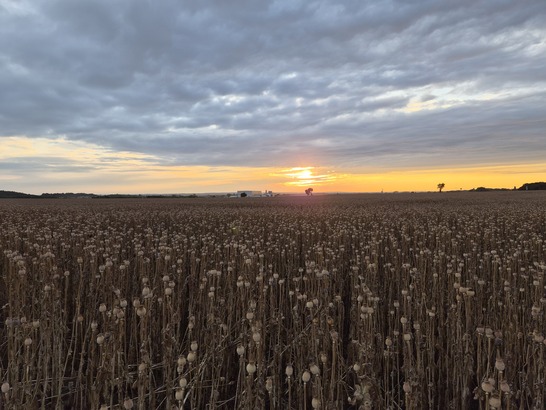 Samsung Galaxy Z Flip7