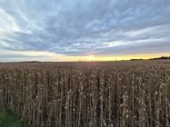 Samsung Galaxy Z Flip7