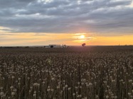 Samsung Galaxy Z Flip7