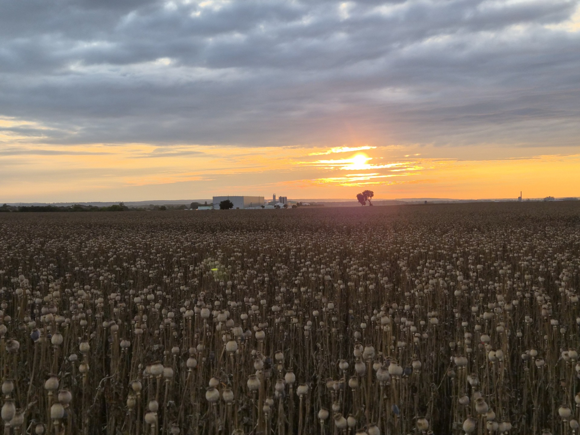 Samsung Galaxy Z Flip7