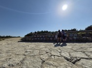 Samsung Galaxy Z Flip7 FE