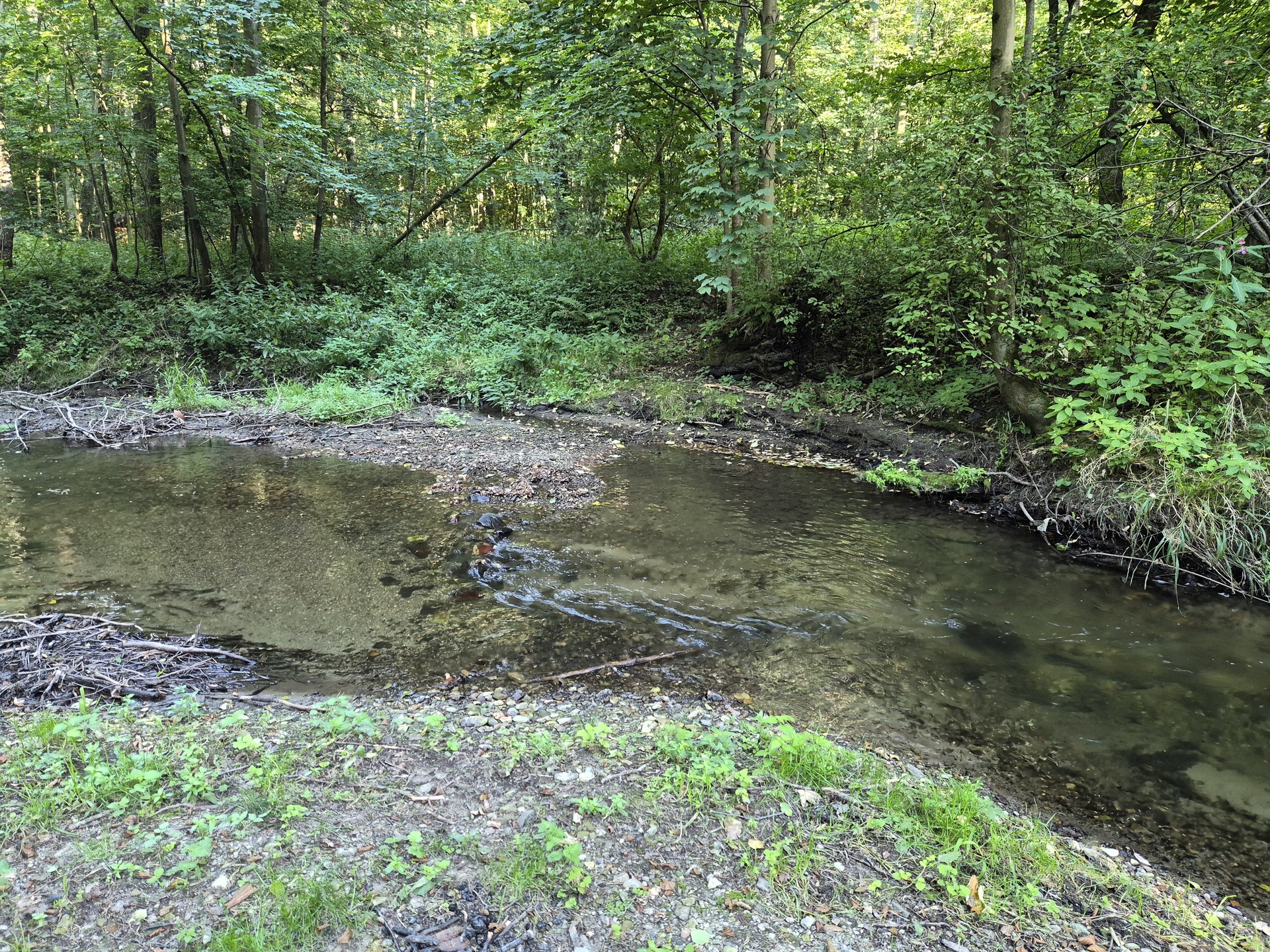 Samsung Galaxy Z Flip7 FE