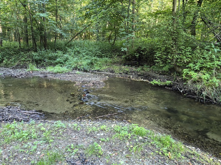 Samsung Galaxy Z Flip7 FE