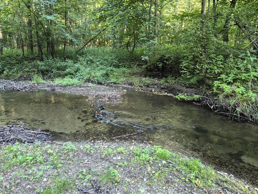 Samsung Galaxy Z Flip7 FE