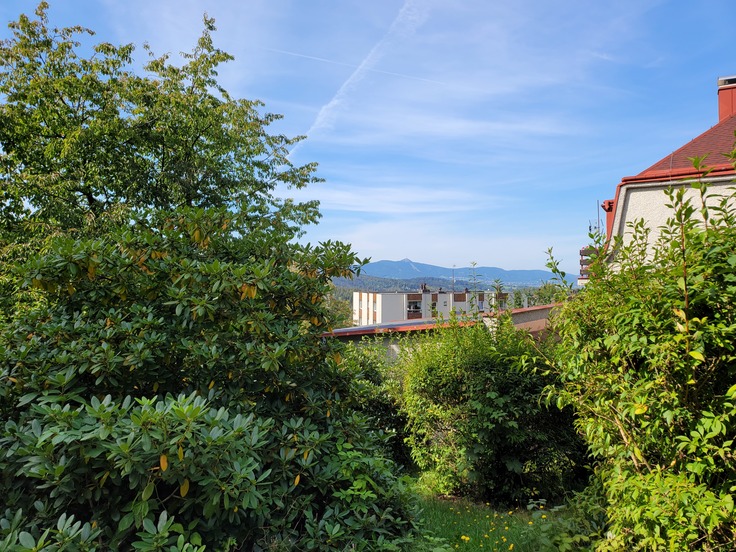 Samsung Galaxy Z Fold2