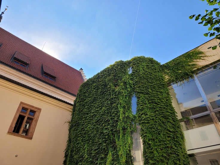 Samsung Galaxy Z Fold2