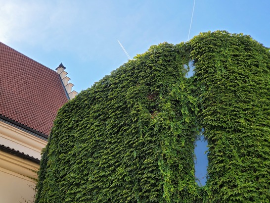 Samsung Galaxy Z Fold2