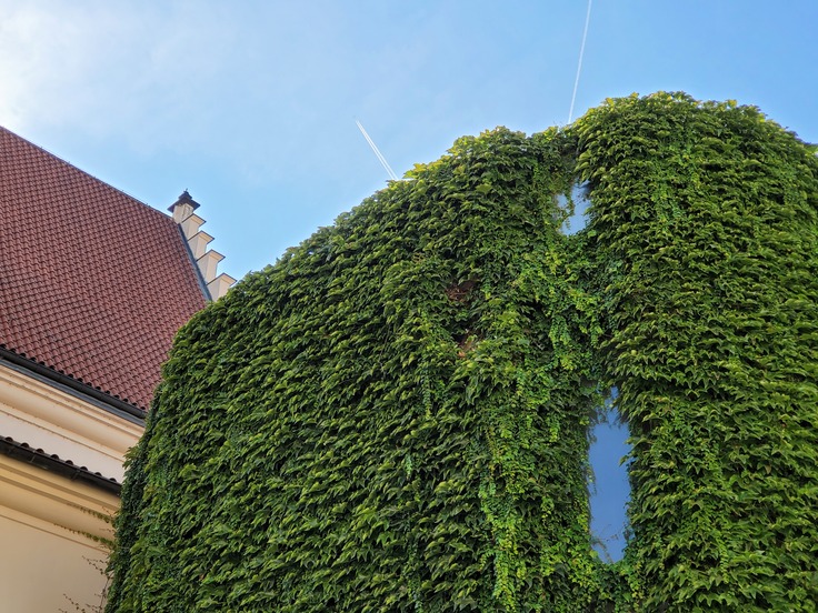 Samsung Galaxy Z Fold2