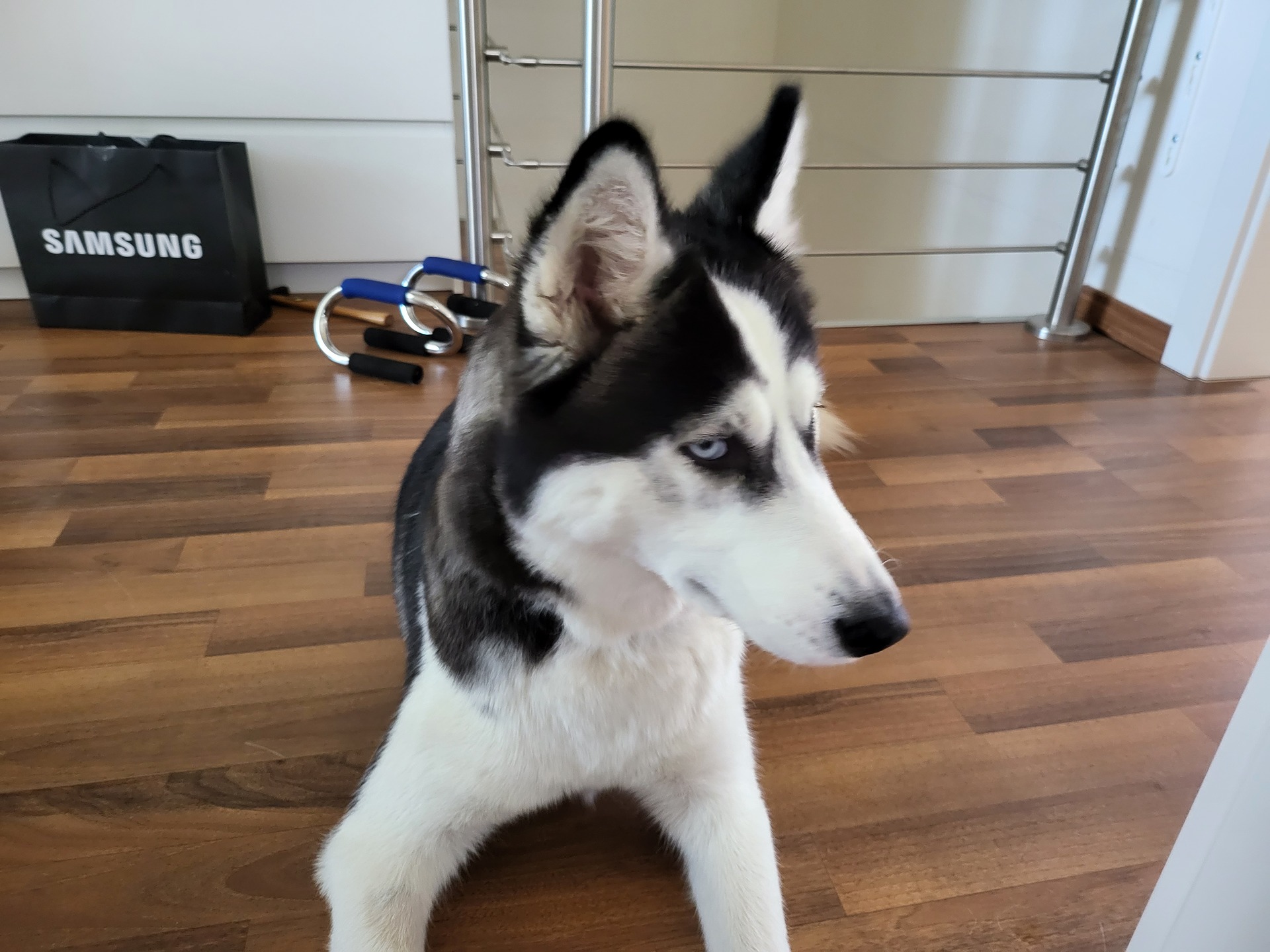 Samsung Galaxy Z Fold3