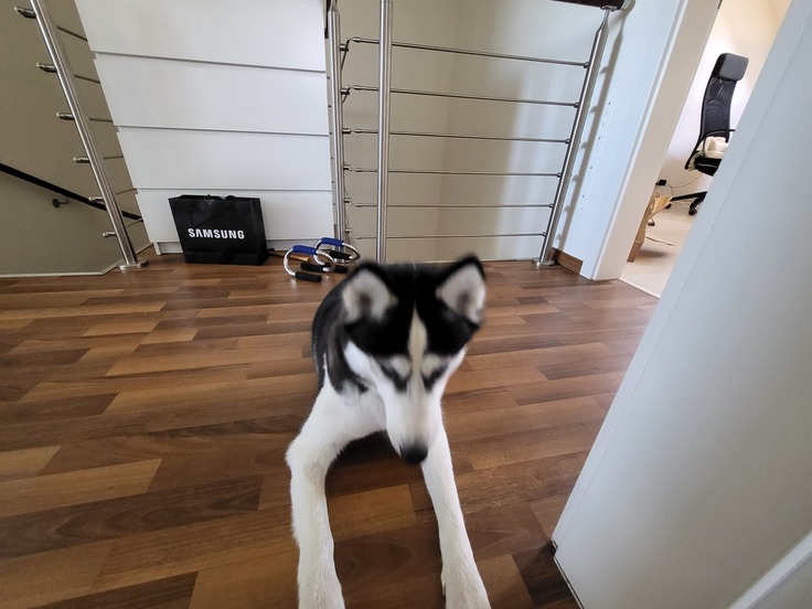 Samsung Galaxy Z Fold3