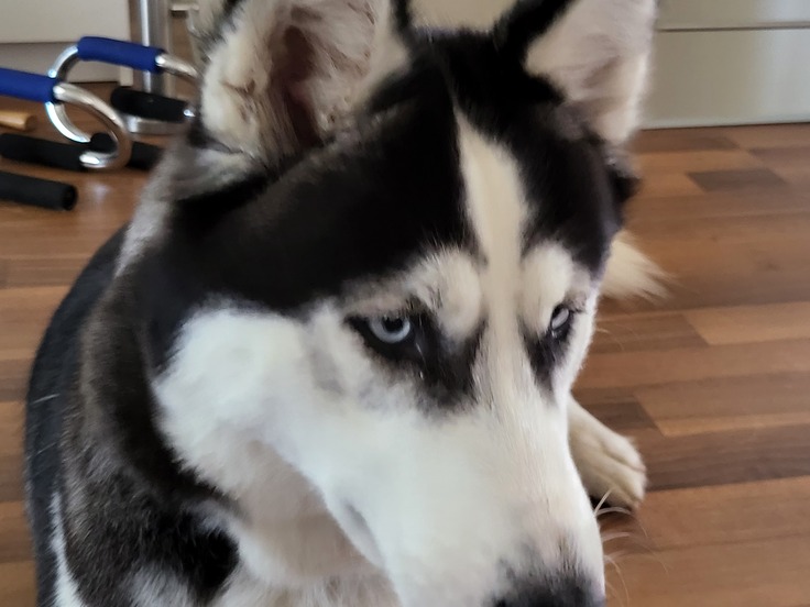 Samsung Galaxy Z Fold3