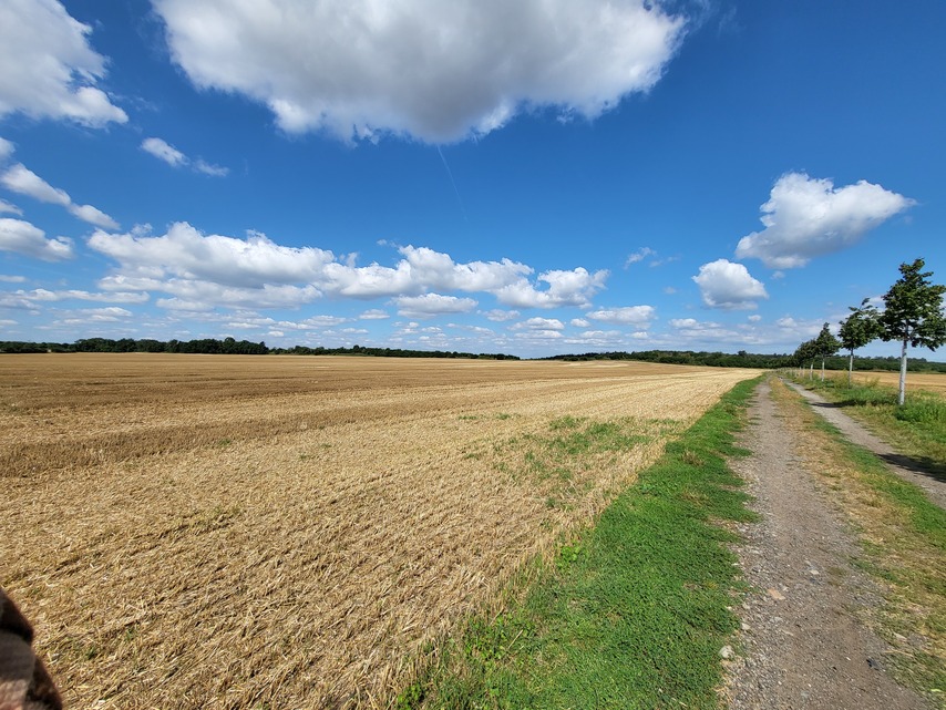 Samsung Galaxy Z Fold3