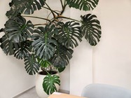 Samsung Galaxy Z Fold4