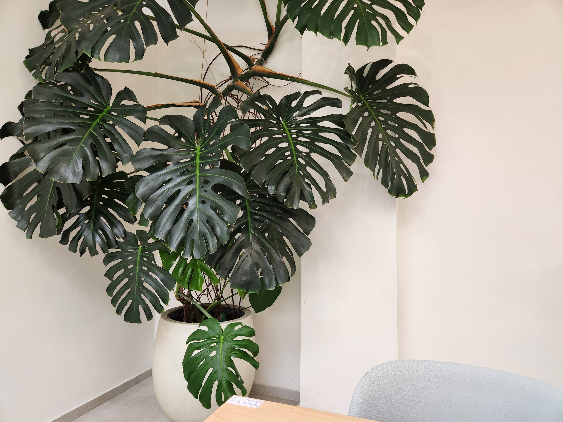 Samsung Galaxy Z Fold4