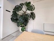 Samsung Galaxy Z Fold4